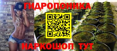MESCALINE Кингисепп