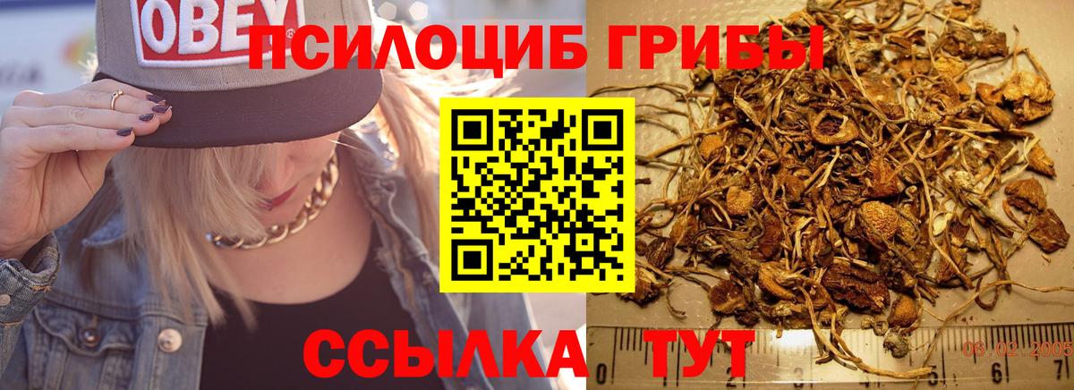 Псилоцибиновые грибы мицелий  Вход с VPN  Кинешма  Галлюциногенные грибы прущие грибы 